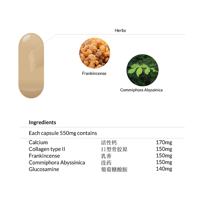 Yong Kang Bone Wellness Capsule 钙骨康胶囊