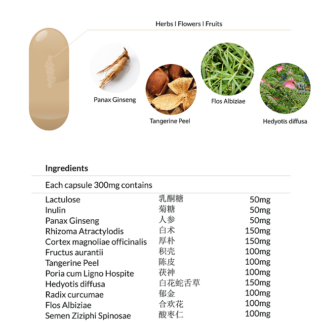 Yong Kang Gastric Wellness Capsule 肠胃康胶囊