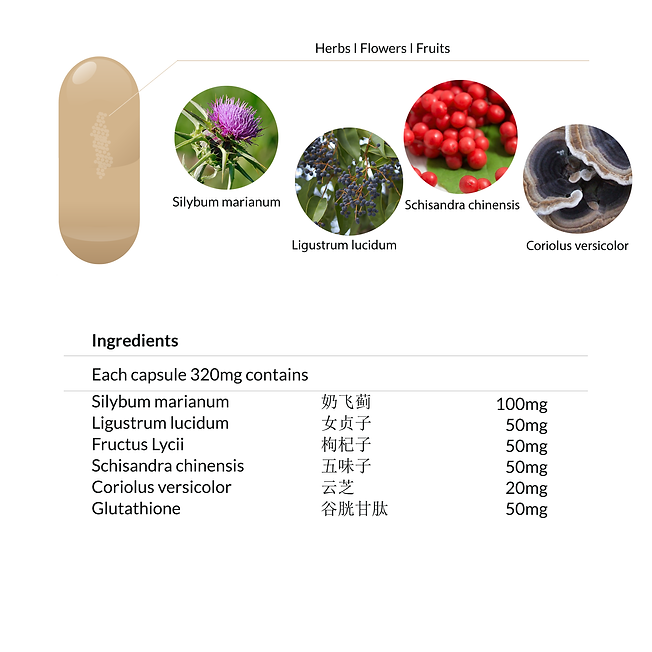 Yong Kang Liver Wellness Capsule 肝保康胶囊